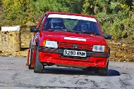 bov25_78_BRYS7715