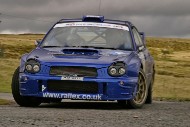 mewla04_img_3991_ms