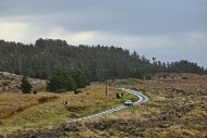 mull26_01_MRG_9738