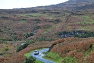 mull26_17_MRG_1238