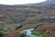 mull26_29_MRG_1366