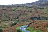 mull26_73_MRG_1855