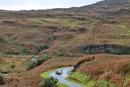 mull26_79_MRG_1584